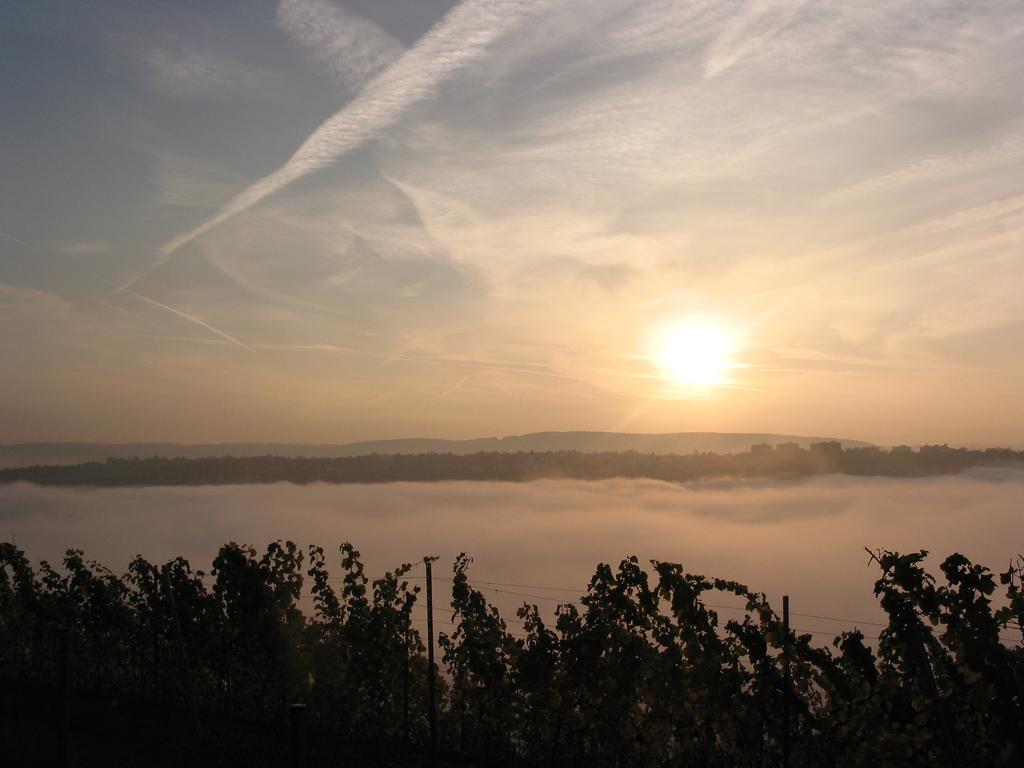 Готель Wohngut Koblenz Кобленц Екстер'єр фото